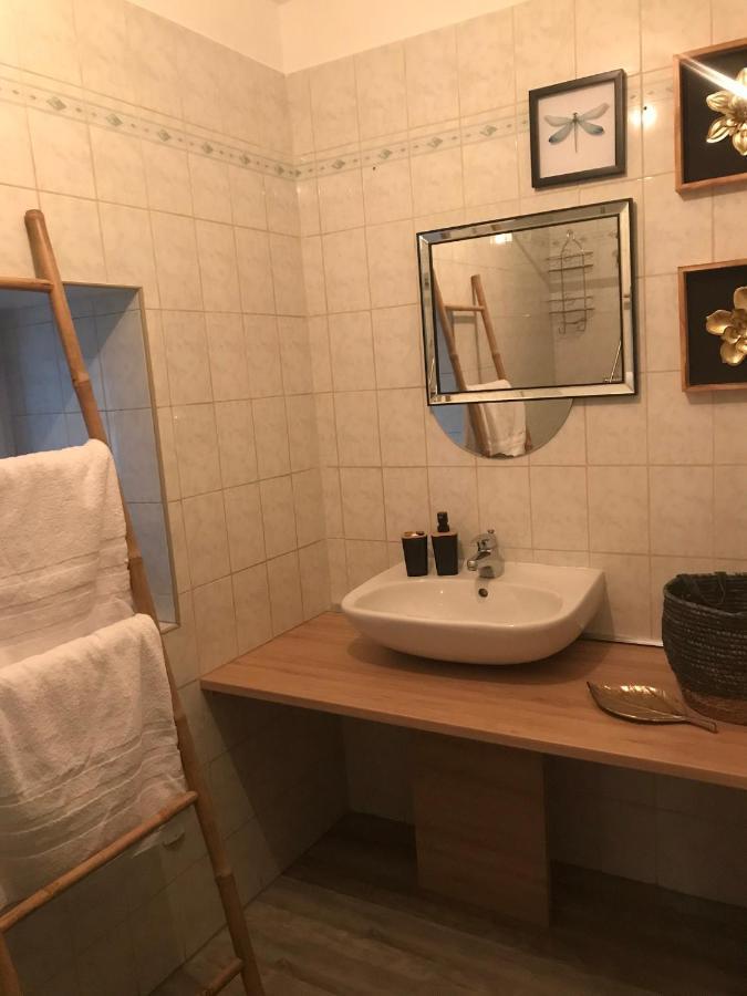 Appartement Cosy Le Safari Avec Wifi 앙노네 외부 사진