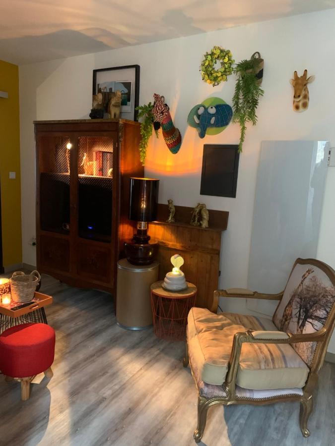 Appartement Cosy Le Safari Avec Wifi 앙노네 외부 사진